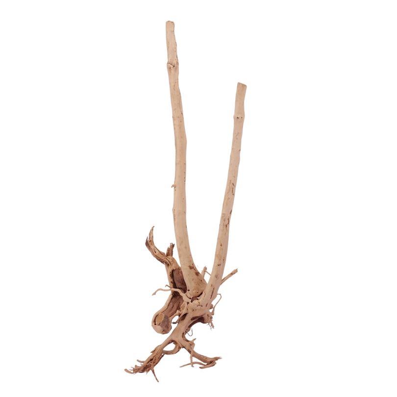 L Stump Wurzel Nr.1877 Holz Deko Aquascaping