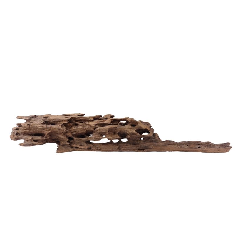 XL Honey Comb Wurzel Nr.1932 Holz Deko Aquascaping