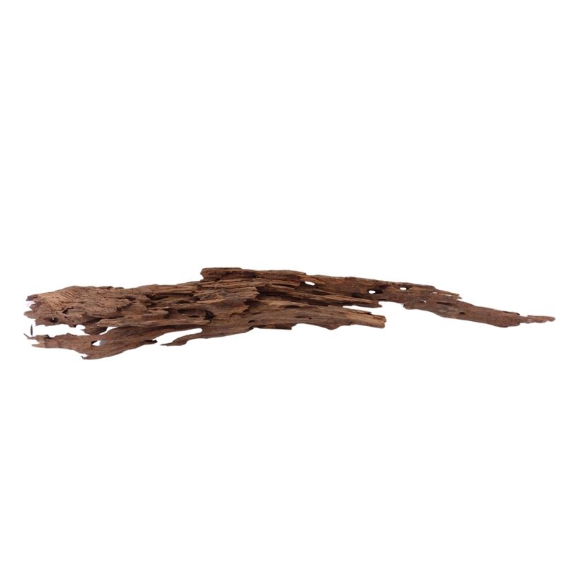 XL Honey Comb Wurzel Nr.1934 Holz Deko Aquascaping