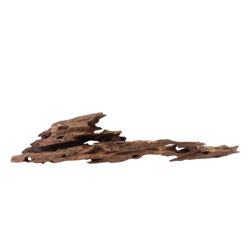 XL Honey Comb Wurzel Nr.1937 Holz Deko Aquascaping