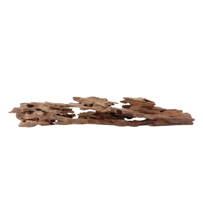 XL Honey Comb Wurzel Nr.1940 Holz Deko Aquascaping