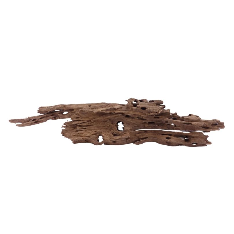 XL Honey Comb Wurzel Nr.1943 Holz Deko Aquascaping