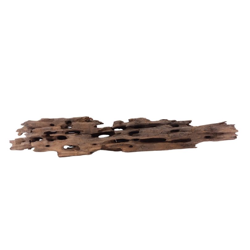 XL Honey Comb Wurzel Nr.1946 Holz Deko Aquascaping