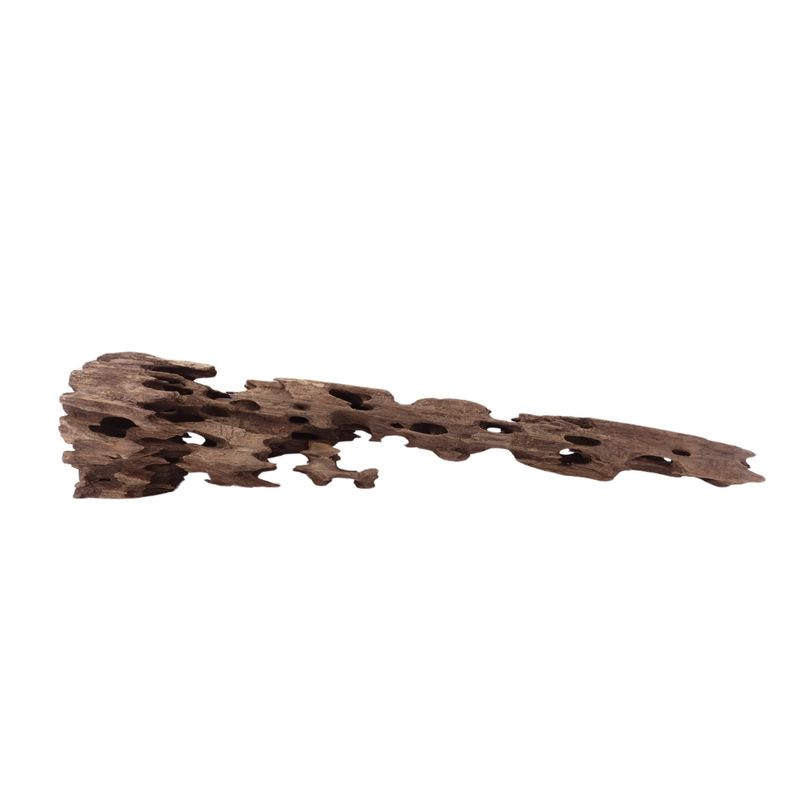 XL Honey Comb Wurzel Nr.1947 Holz Deko Aquascaping