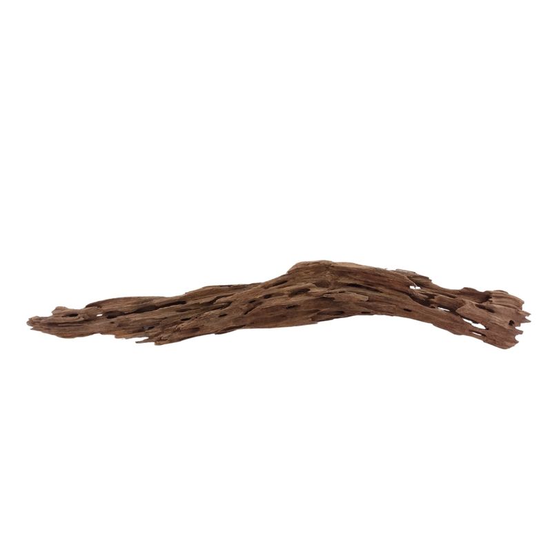 XL Honey Comb Wurzel Nr.1957 Holz Deko Aquascaping