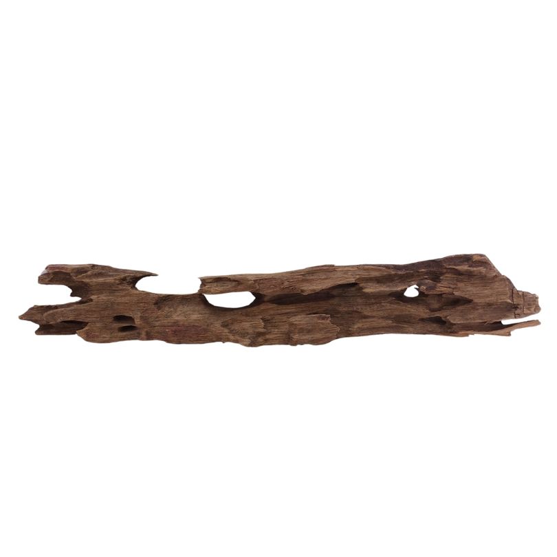 L Honey Comb Wurzel Nr.2030 Holz Deko Aquascaping