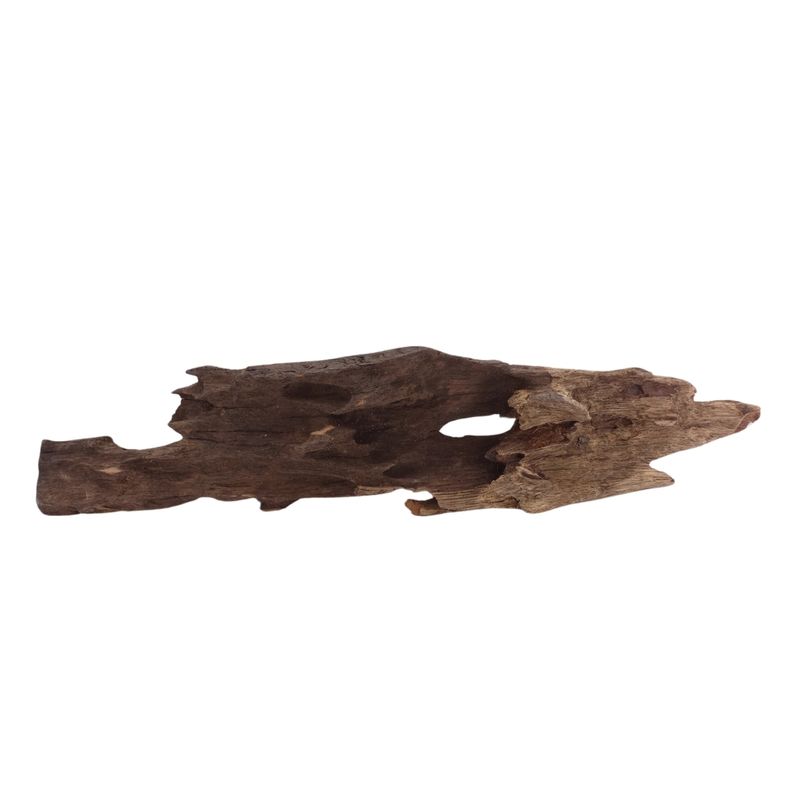 L Honey Comb Wurzel Nr.2051 Holz Deko Aquascaping