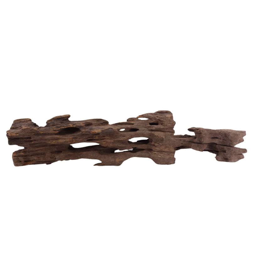L Honey Comb Wurzel Nr.2064 Holz Deko Aquascaping