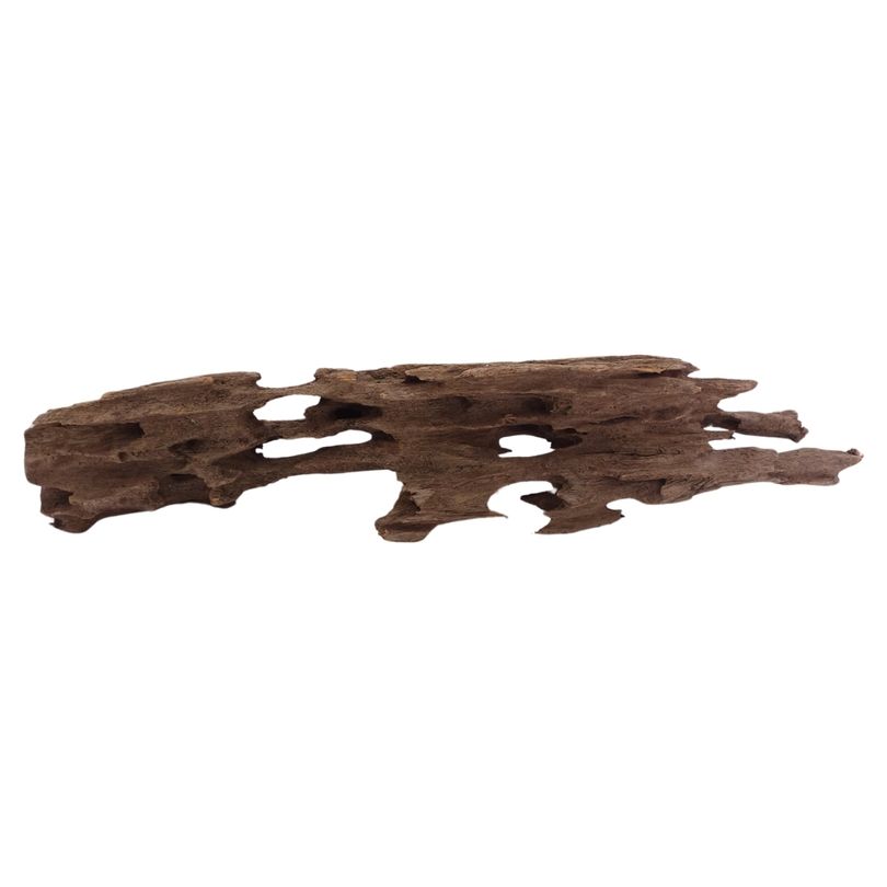 L Honey Comb Wurzel Nr.2073 Holz Deko Aquascaping