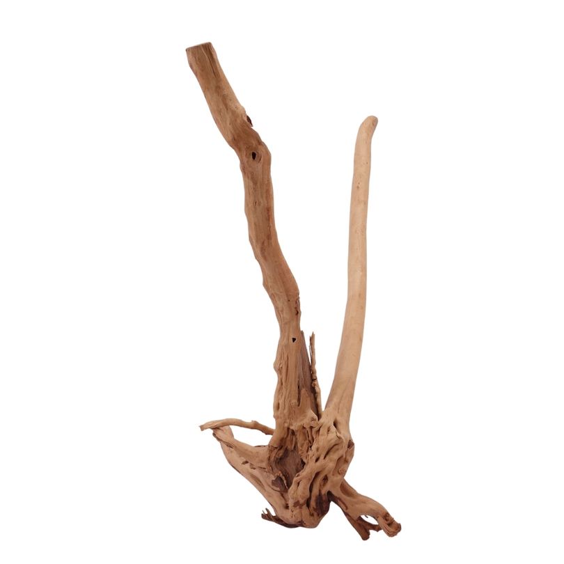 M Stump Wurzel Nr.2082 Holz Deko Aquascaping