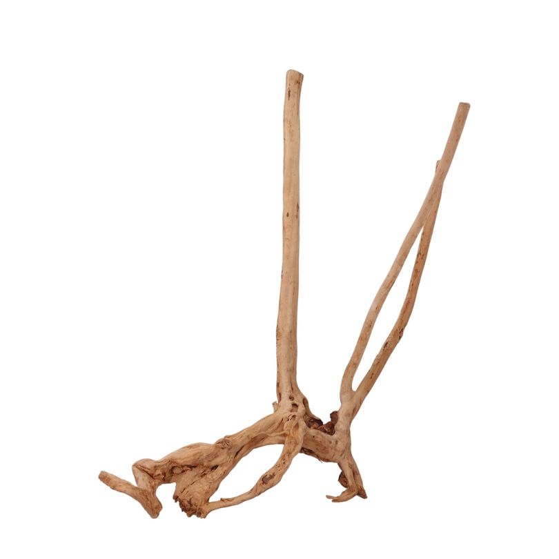 M Stump Wurzel Nr.2419 Holz Deko Aquascaping
