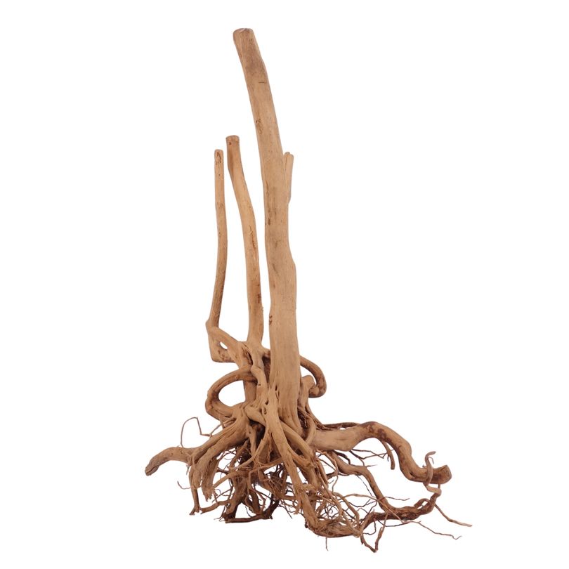 XL Stump Wurzel Nr.2485 Holz Deko Aquascaping