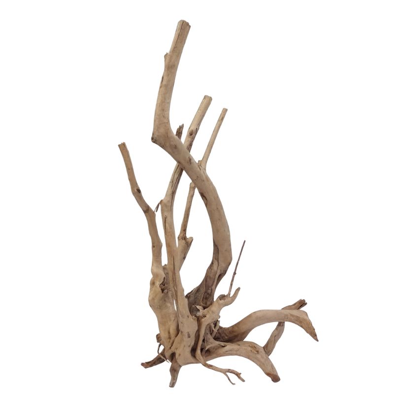 XXL Stump Wurzel Nr.2493 Holz Deko Aquascaping