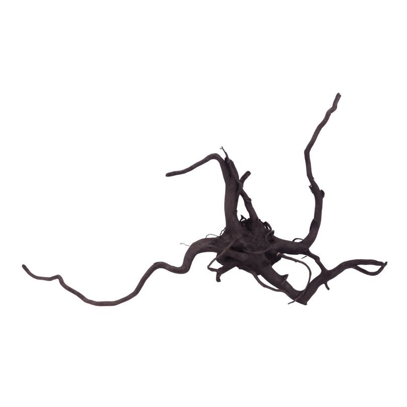 XL Black Spider Wurzel Nr.2660 Fingerwurzel Echtholz Deko Aquascaping 