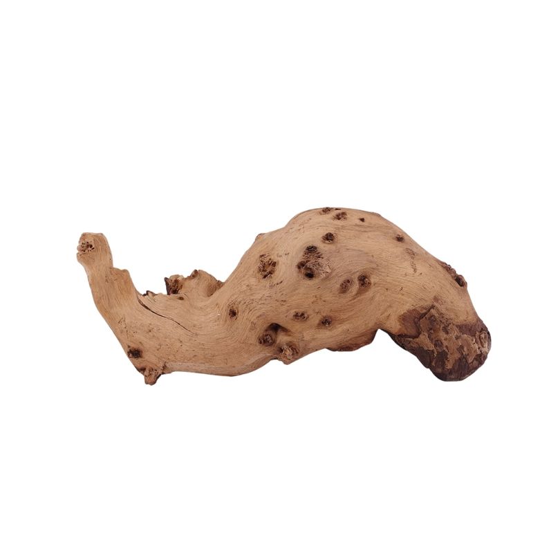 M Mopani Wurzel Nr.2724 Holz Deko Aquascaping