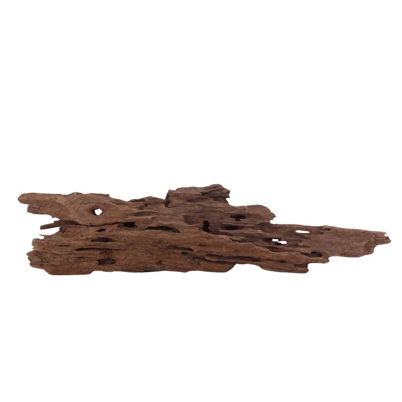 L Honey Comb Wurzel Nr.2981 Holz Deko Aquascaping