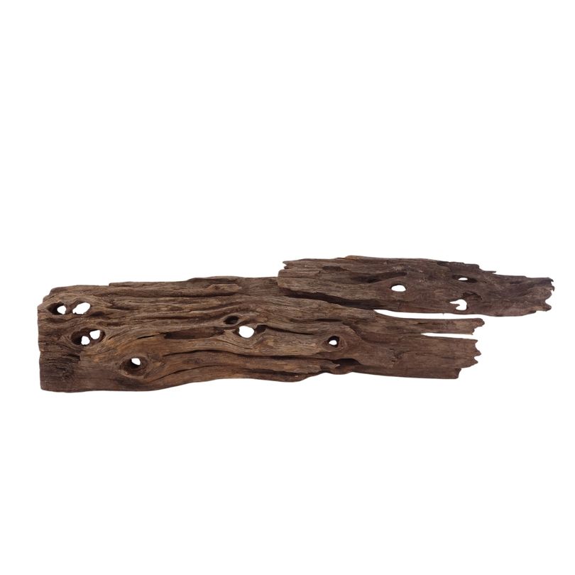 L Honey Comb Wurzel Nr.2982 Holz Deko Aquascaping