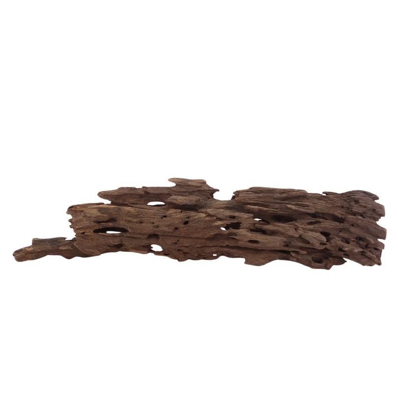 L Honey Comb Wurzel Nr.2998 Holz Deko Aquascaping