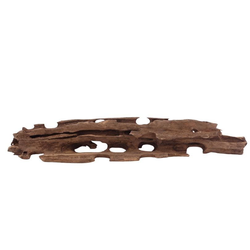 L Honey Comb Wurzel Nr.3006 Holz Deko Aquascaping