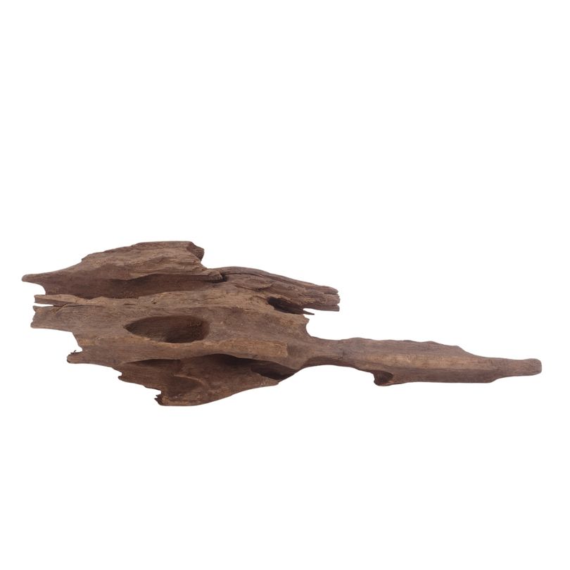 L Honey Comb Wurzel Nr.3024 Holz Deko Aquascaping