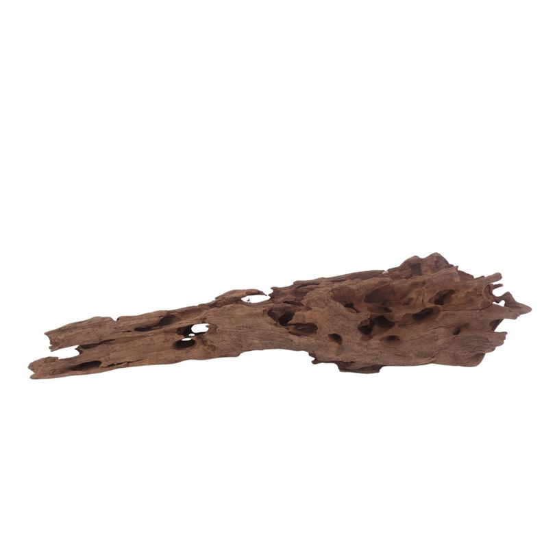 L Honey Comb Wurzel Nr.3032 Holz Deko Aquascaping