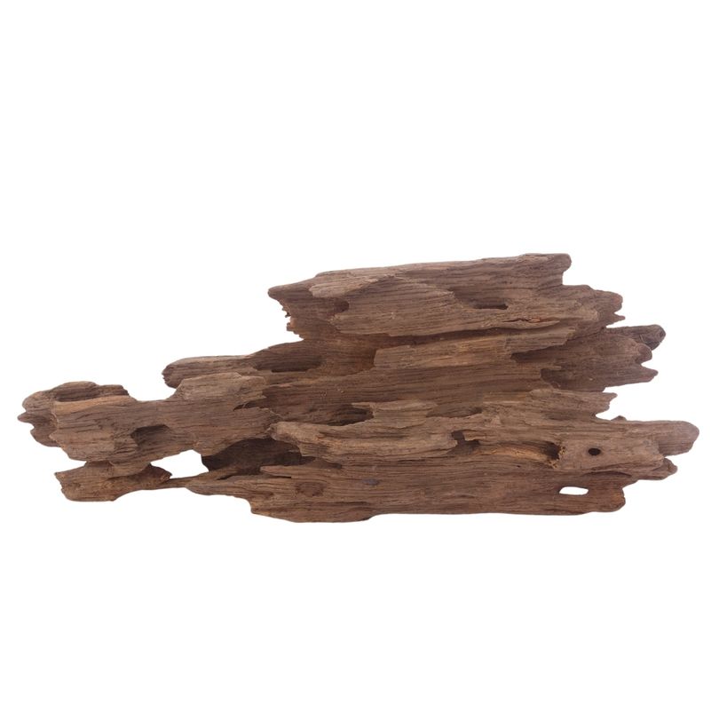 L Honey Comb Wurzel Nr.3034 Holz Deko Aquascaping