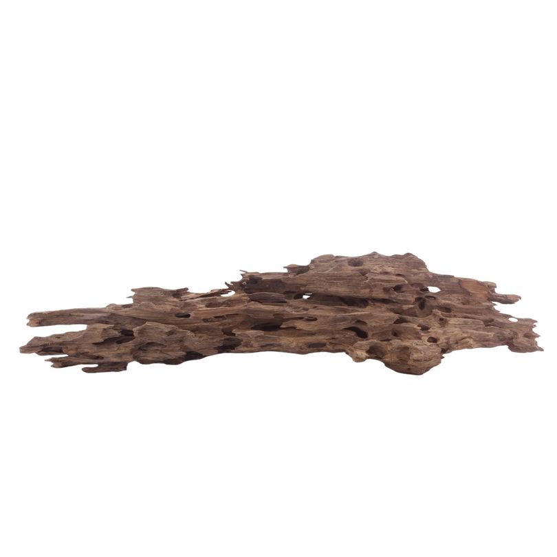 XL Honey Comb Wurzel Nr.3043 Holz Deko Aquascaping