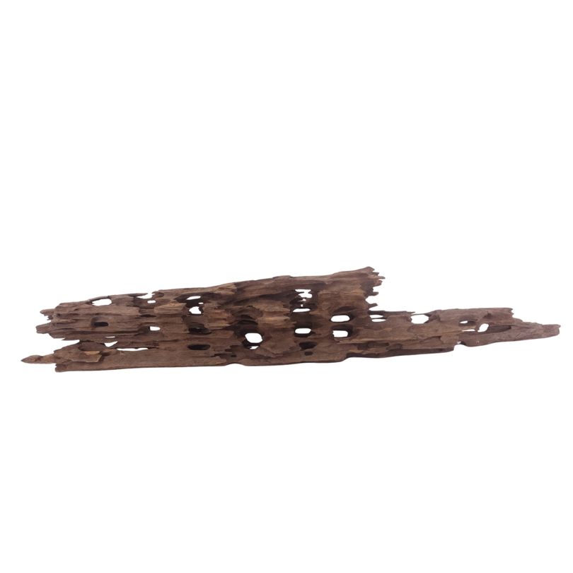 XL Honey Comb Wurzel Nr.3046 Holz Deko Aquascaping