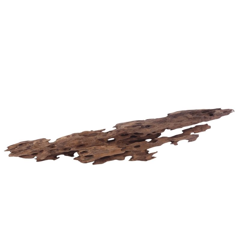 XL Honey Comb Wurzel Nr.3048 Holz Deko Aquascaping