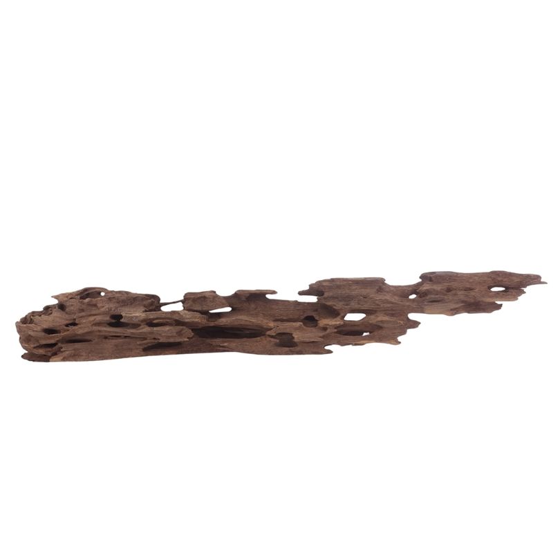XL Honey Comb Wurzel Nr.3050 Holz Deko Aquascaping