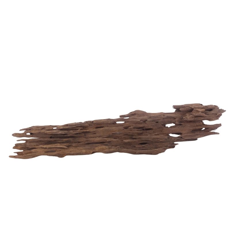 XL Honey Comb Wurzel Nr.3051 Holz Deko Aquascaping
