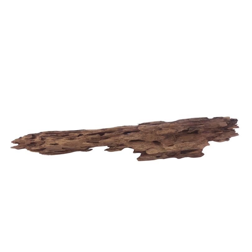 XL Honey Comb Wurzel Nr.3056 Holz Deko Aquascaping
