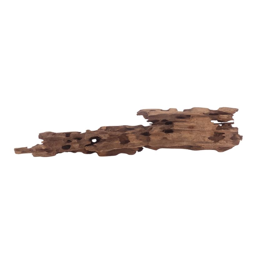 XL Honey Comb Wurzel Nr.3058 Holz Deko Aquascaping