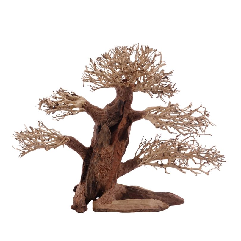 Classic Bonsai Baum XL 40x15x30 Wurzel Holz Aquarium Deko Aquascaping 