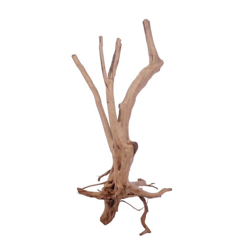 M Stump Wurzel Nr.3522 Holz Deko Aquascaping