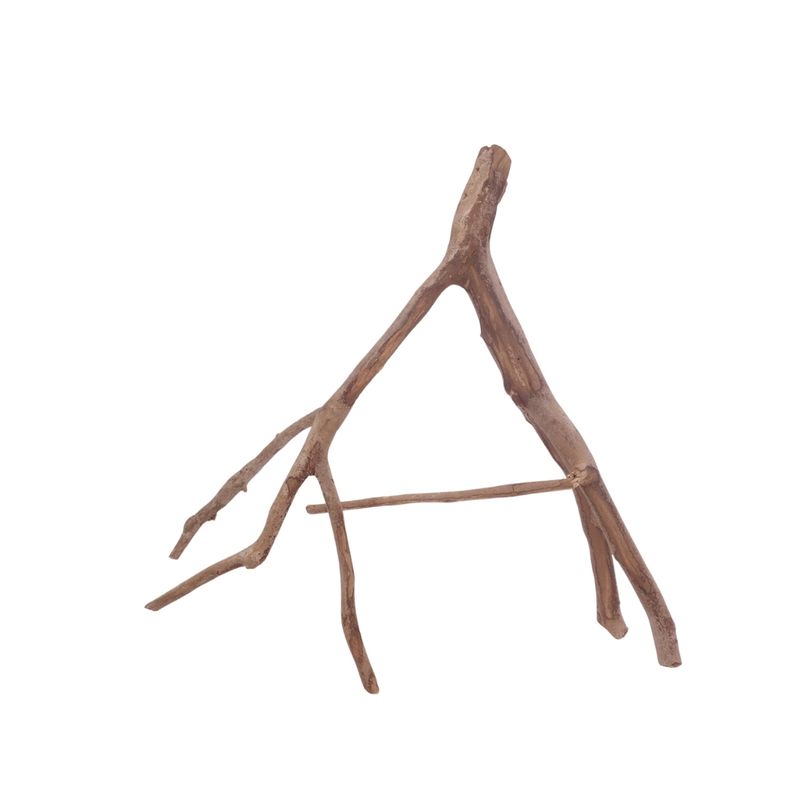 L Talawa Wurzel Nr.3595