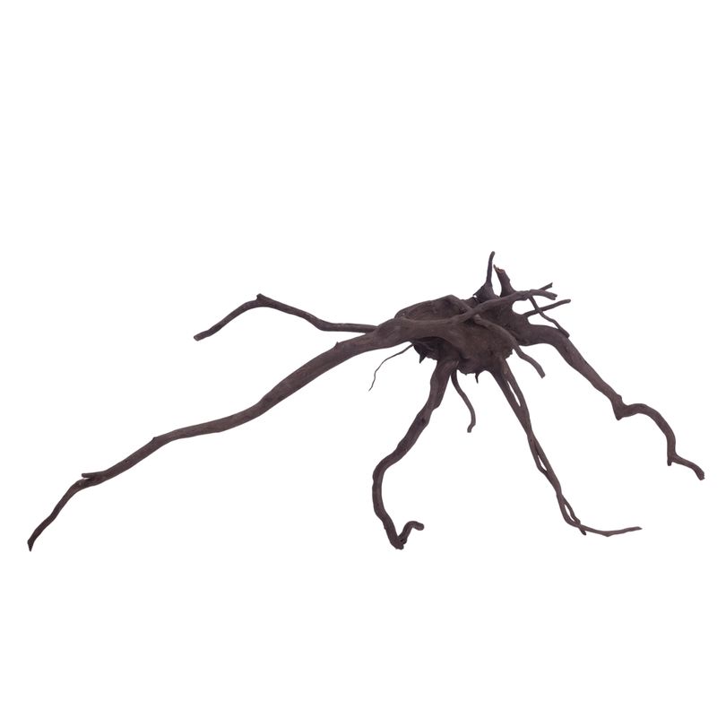 XL Black Spider Wurzel Nr.3728 Fingerwurzel Echtholz Deko Aquascaping 