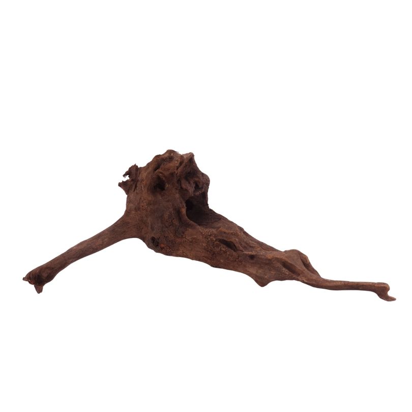  L Driftwood Flußwurzel Nr.3870 Holz Deko Aquascaping