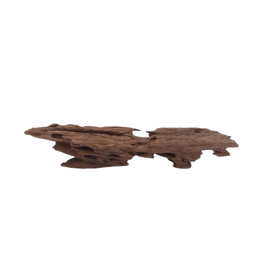 M Honey Comb Wurzel Nr.3755 Holz Deko Aquascaping