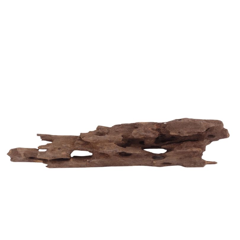 M Honey Comb Wurzel Nr.3762 Holz Deko Aquascaping
