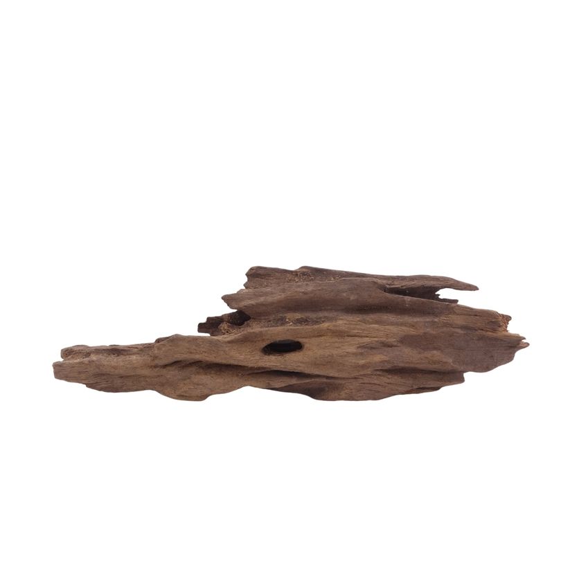 M Honey Comb Wurzel Nr.3763 Holz Deko Aquascaping