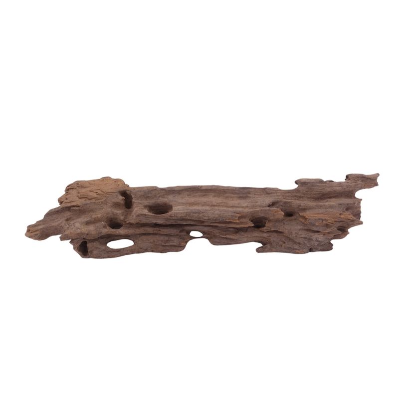 M Honey Comb Wurzel Nr.3767 Holz Deko Aquascaping