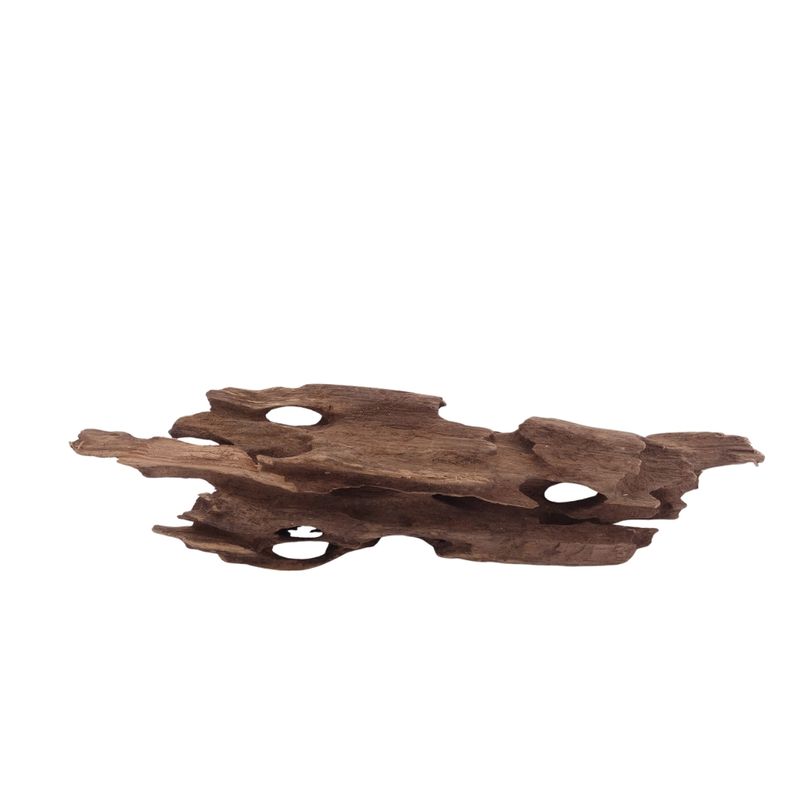 M Honey Comb Wurzel Nr.3789 Holz Deko Aquascaping