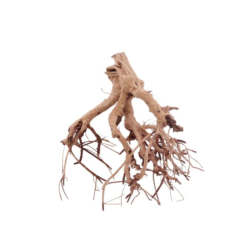 M Flowerwurzel Nr.4088 Wurzel Holz Aquarium Deko Aquascaping 