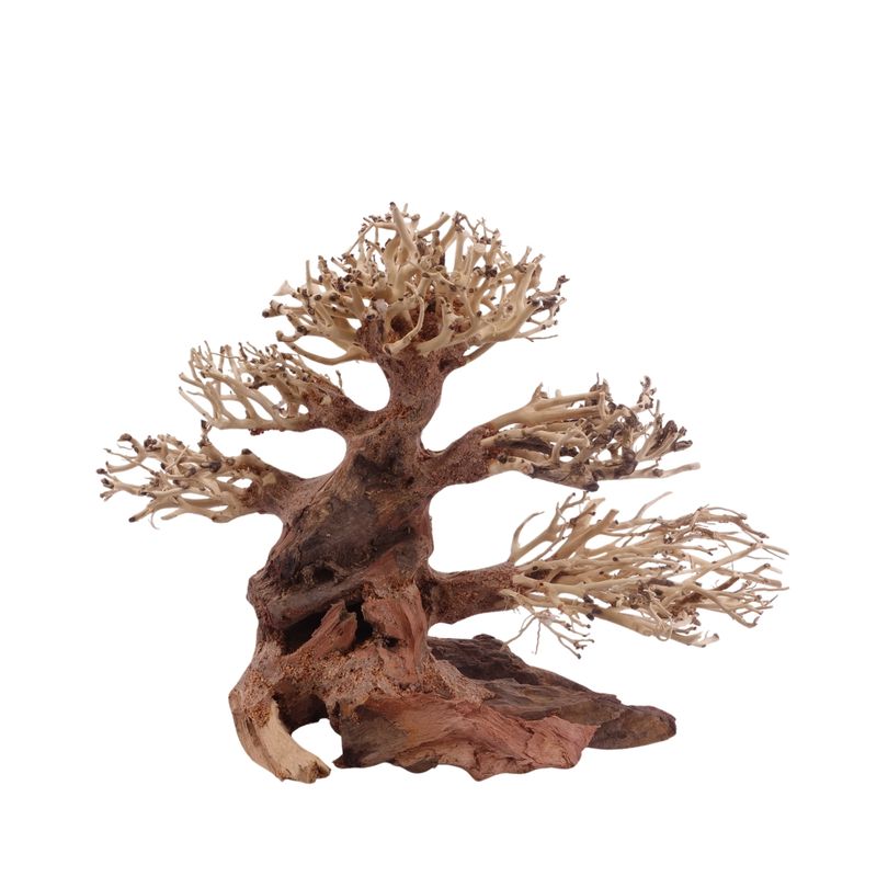 Classic Bonsai Baum M 23x10x17 cm Wurzel Holz Aquarium Deko Aquascaping 