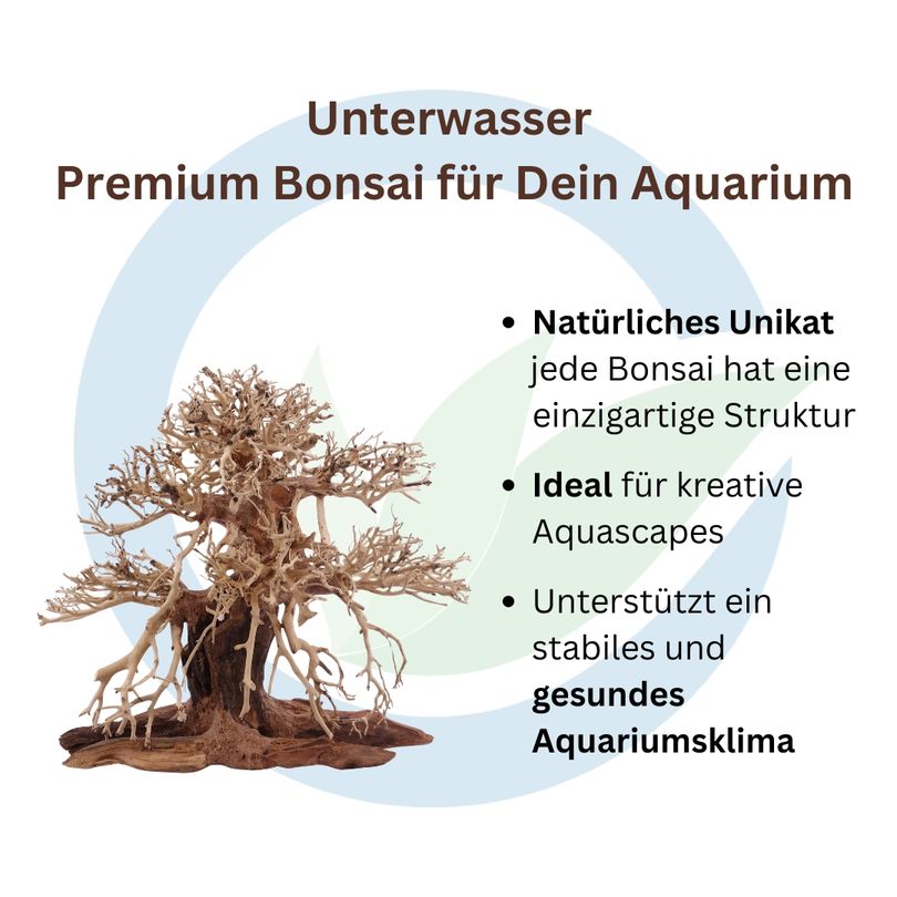Premium Bonsai Baum M 20x12x20 cm Wurzel Holz Aquarium Deko Aquascaping
