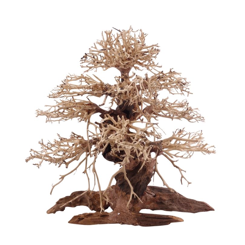 Premium Bonsai Baum XL 40x20x40 Wurzel Holz Aquarium Deko Aquascaping