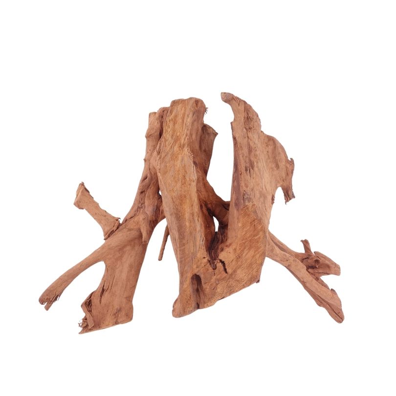L Mangrovenwurzel Nr.4348 Holz Deko Aquascaping