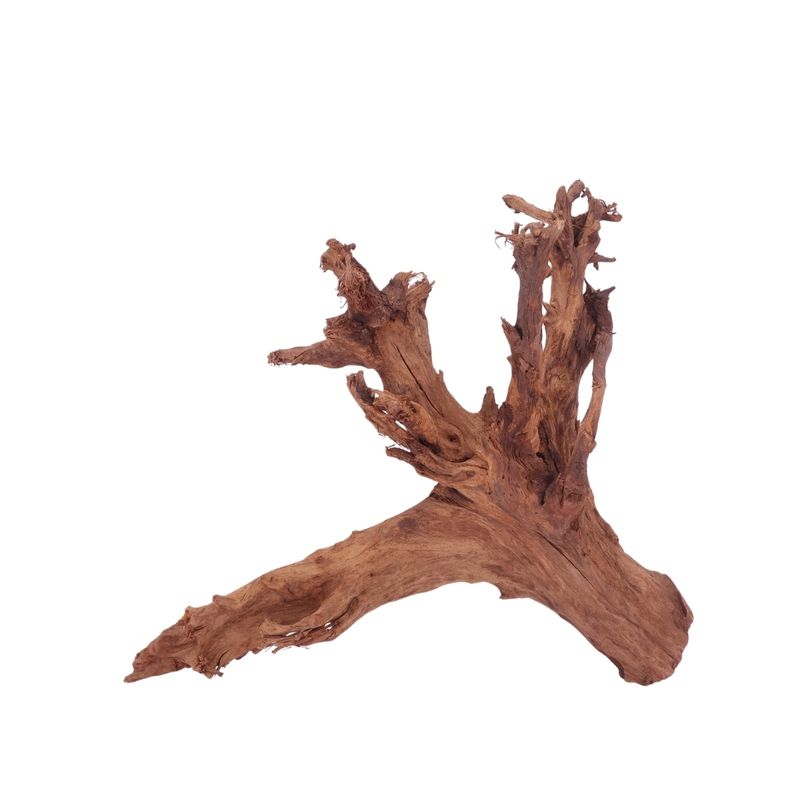 L Mangrovenwurzel Nr.4352 Holz Deko Aquascaping