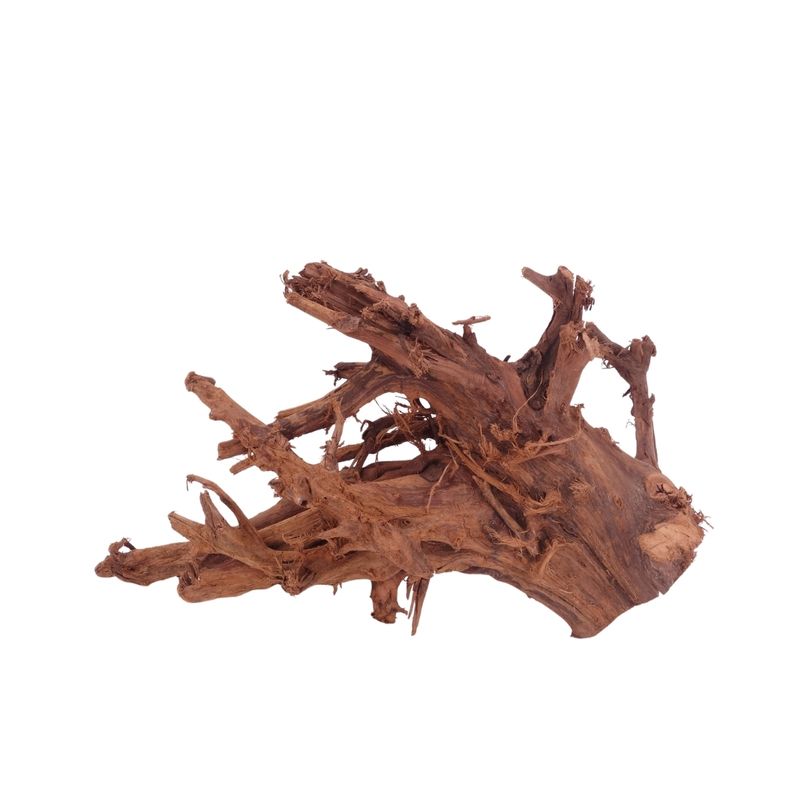 L Mangrovenwurzel Nr.4355 Holz Deko Aquascaping